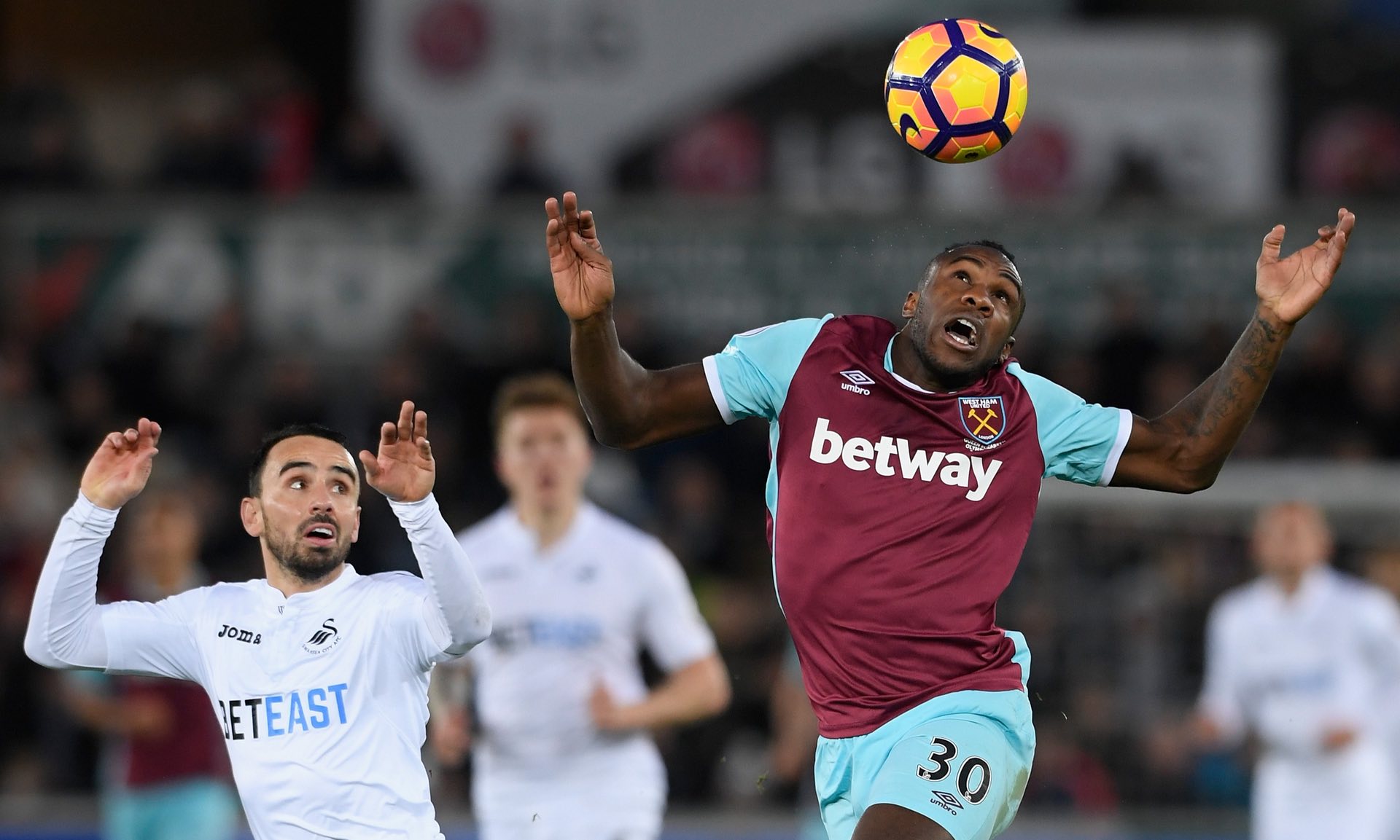 他所挑选的 他所挑选的