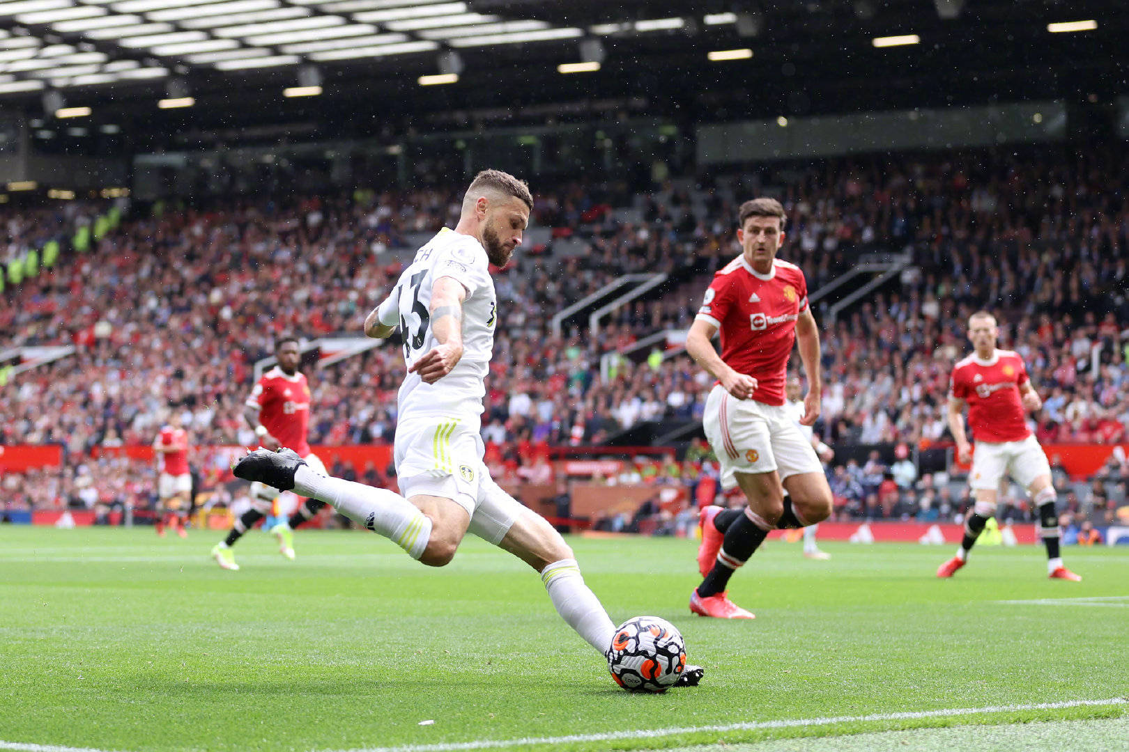 迷的喜爱 迷的喜爱